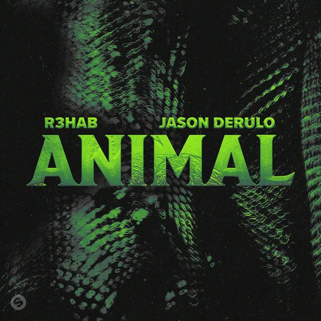 Album cover art for Animal