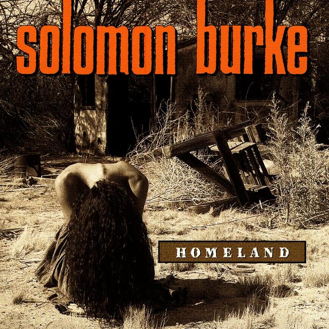 Album cover art for Homeland