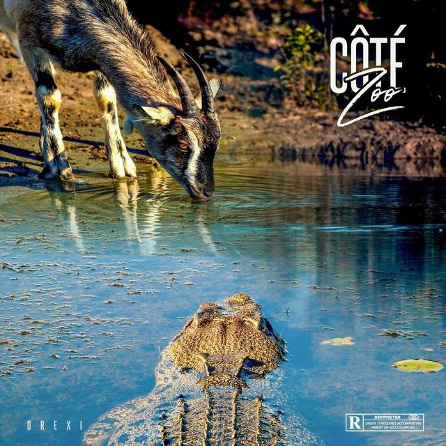 Album cover art for Côté Zoo