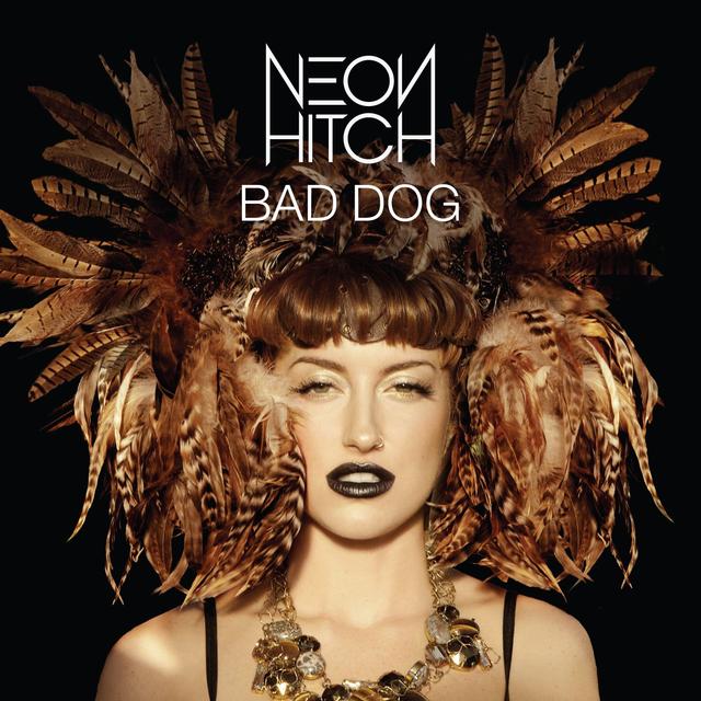 Album cover art for Bad Dog