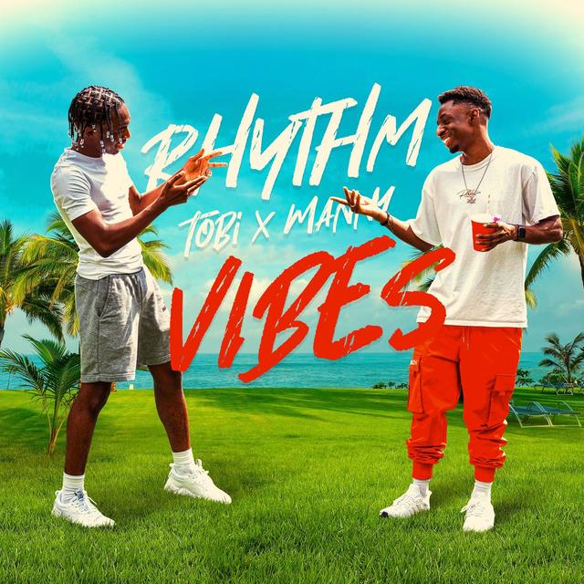 Album cover art for Rhythm & Vibes