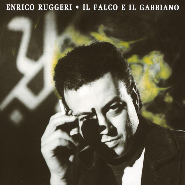 Album cover art for Il falco e il gabbiano