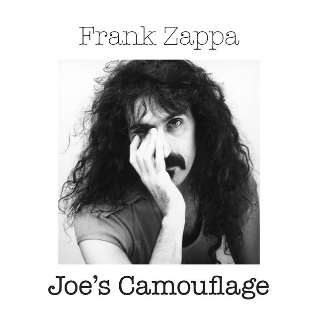 Album cover art for Joe's Camouflage