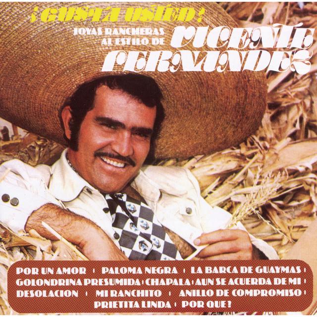 Album cover art for ¿Gusta Usted? Joyas Rancheras al Estilo de Vincente Fernandez