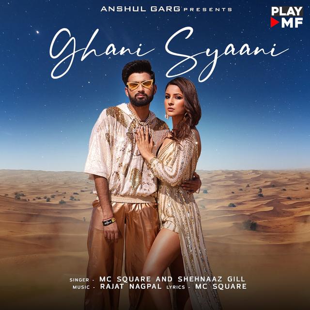 Album cover art for Ghani Syaani