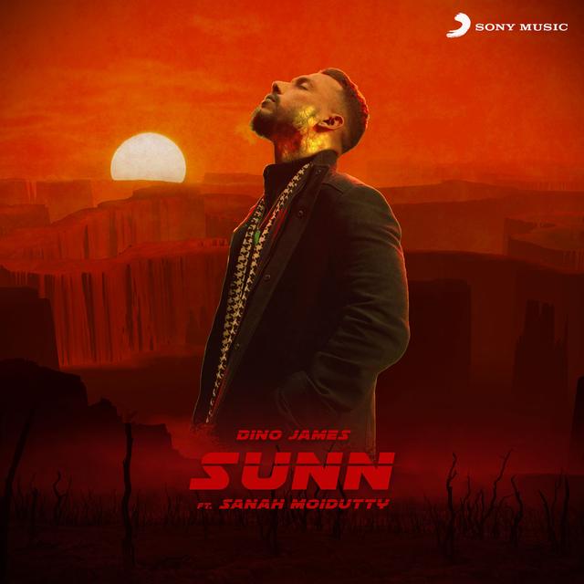 Album cover art for Sunn