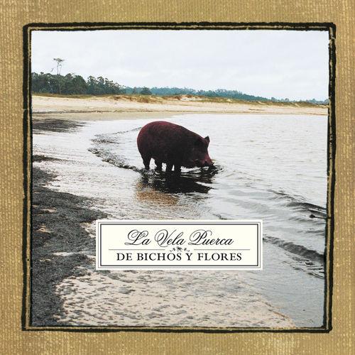 Album cover art for De Bichos y Flores