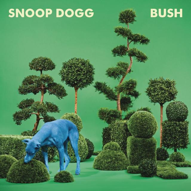 Album cover art for Bush