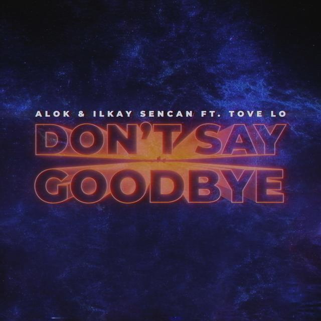 Album cover art for Don't Say Goodbye