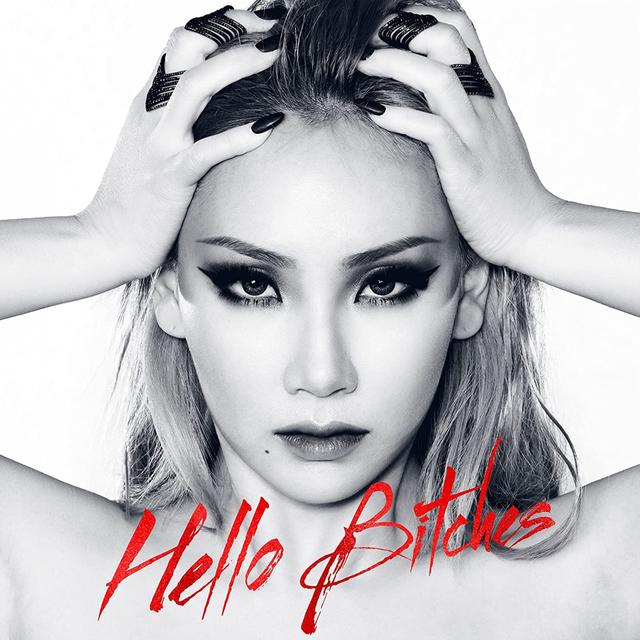 Album cover art for Hello Bitches