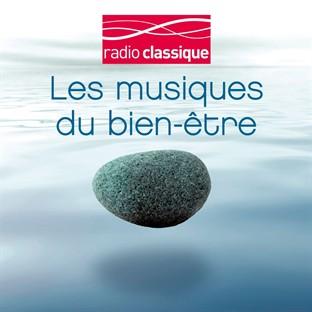 Album cover art for Les Musiques du Bien-être