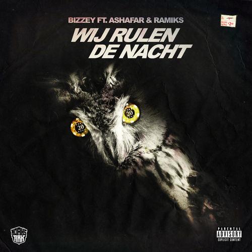 Album cover art for Wij Rulen De Nacht