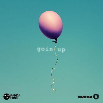 Album cover art for Goin Up