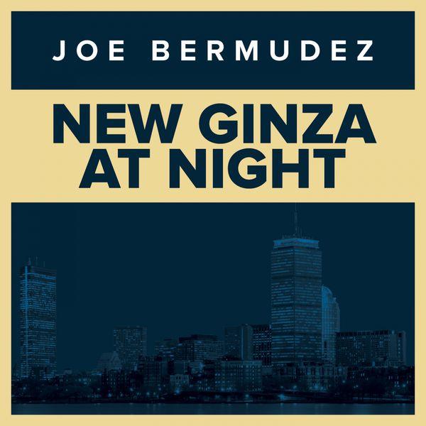 Album cover art for New Ginza at Night