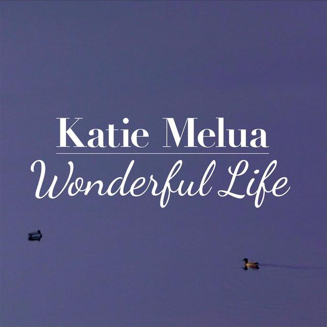 Album cover art for Wonderful Life