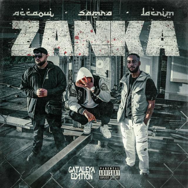 Album cover art for Zanka