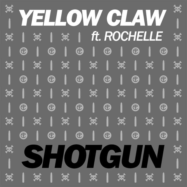 Album cover art for Shotgun