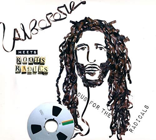 Album cover art for Alborosie Meets Roots Radics: Dub for the Radicals