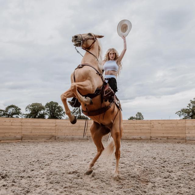 Album cover art for Emotional Rodeo