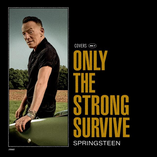 Album cover art for Only the Strong Survive