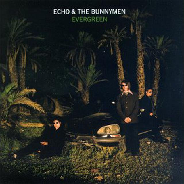 Album cover art for Evergreen