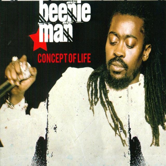 Album cover art for Concept of Life