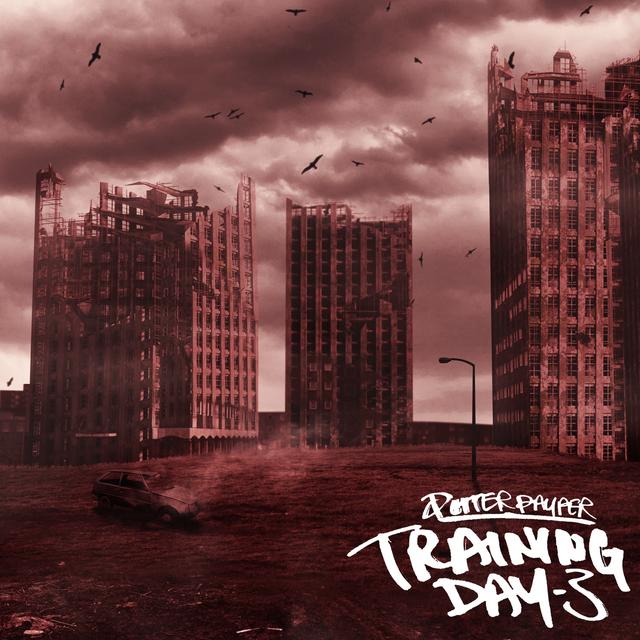 Album cover art for Training Day 3