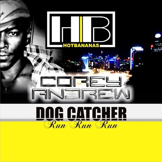 Album cover art for Dog Catcher [run Run Run]