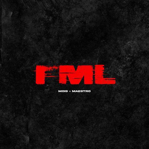 Album cover art for FML