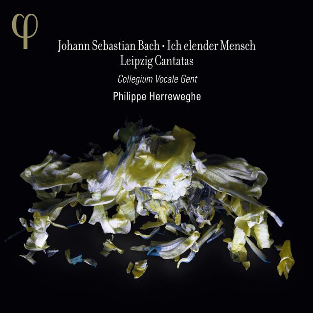 Album cover art for Bach : Leipzig Cantatas