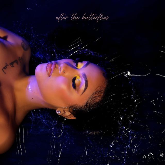 Album cover art for After the Butterflies