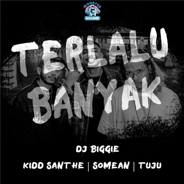 Album cover art for Terlalu Banyak