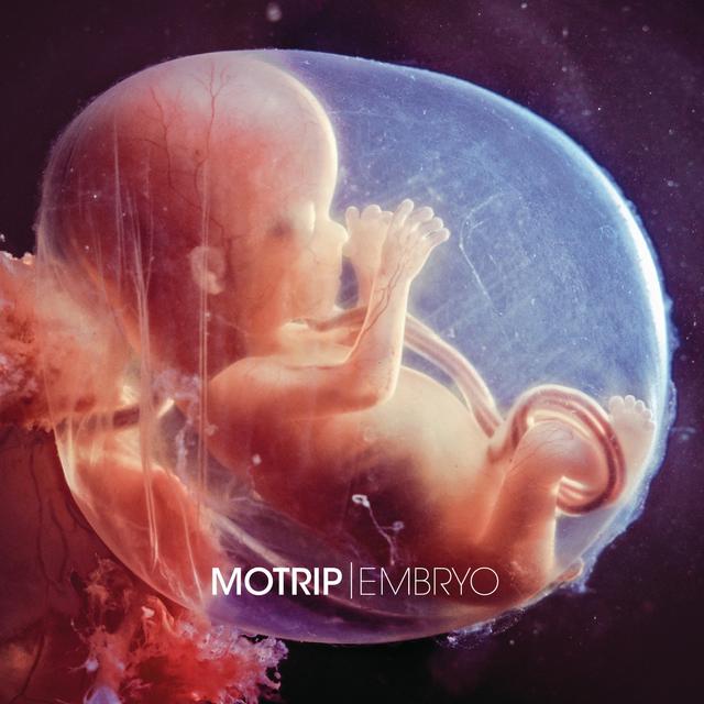 Album cover art for Embryo