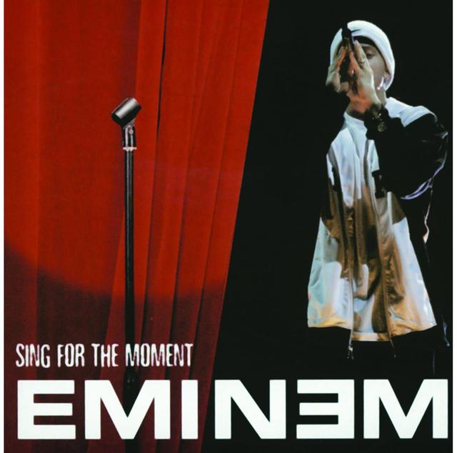 Album cover art for Sing for the Moment