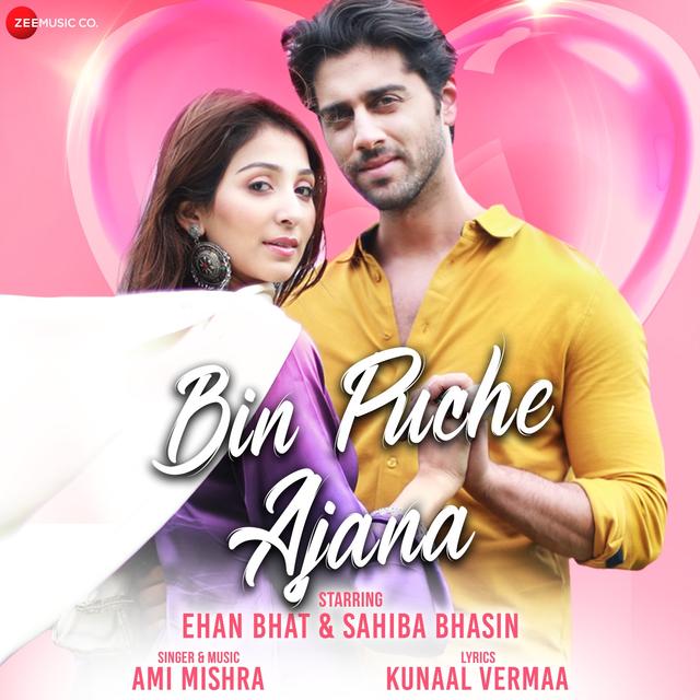 Album cover art for Bin Puche Ajana