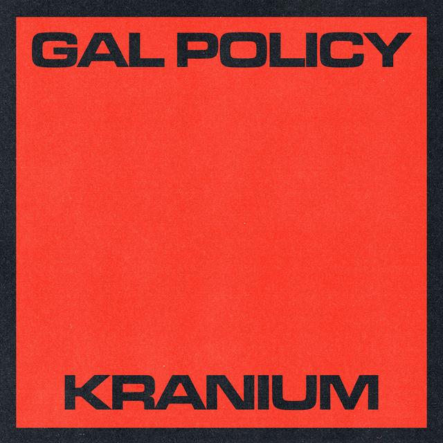 Album cover art for Gal Policy