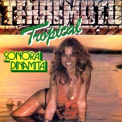 Album cover art for Terremoto Tropical