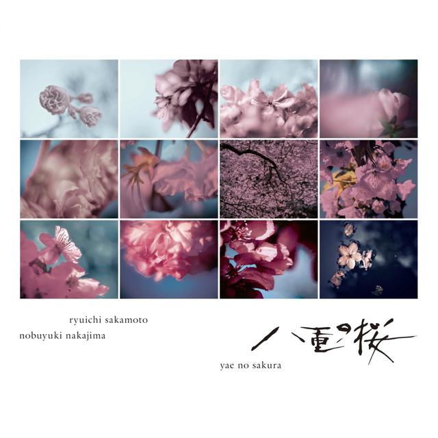 Album cover art for Yae No Sakura