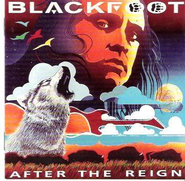 Album cover art for After The Reign