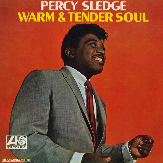 Album cover art for Warm & Tender Soul