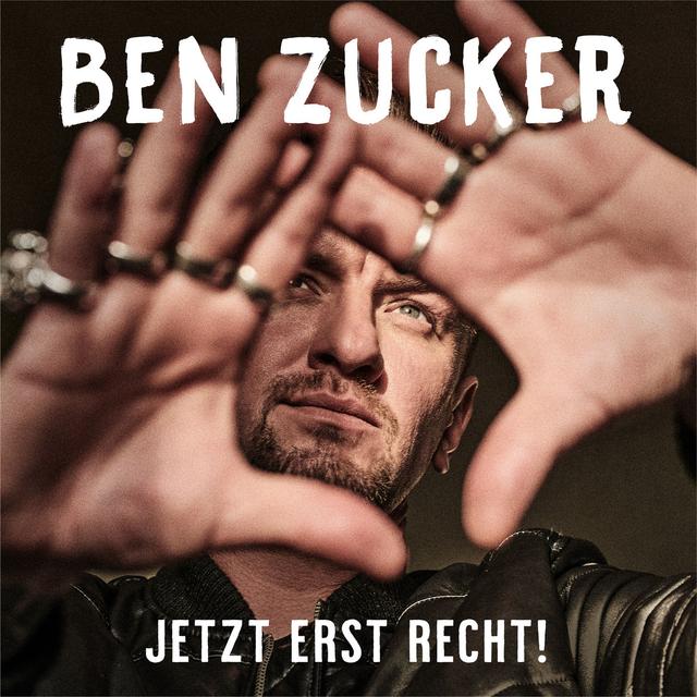 Album cover art for Jetzt erst recht!