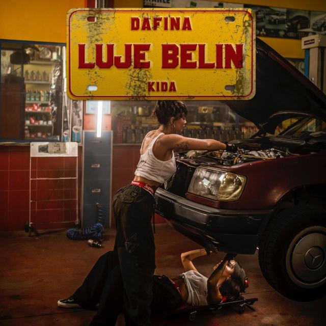 Album cover art for Luje Belin