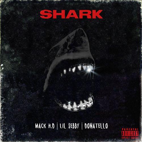 Album cover art for Shark