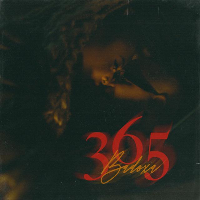 Album cover art for 365