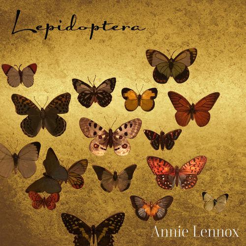 Album cover art for Lepidoptera