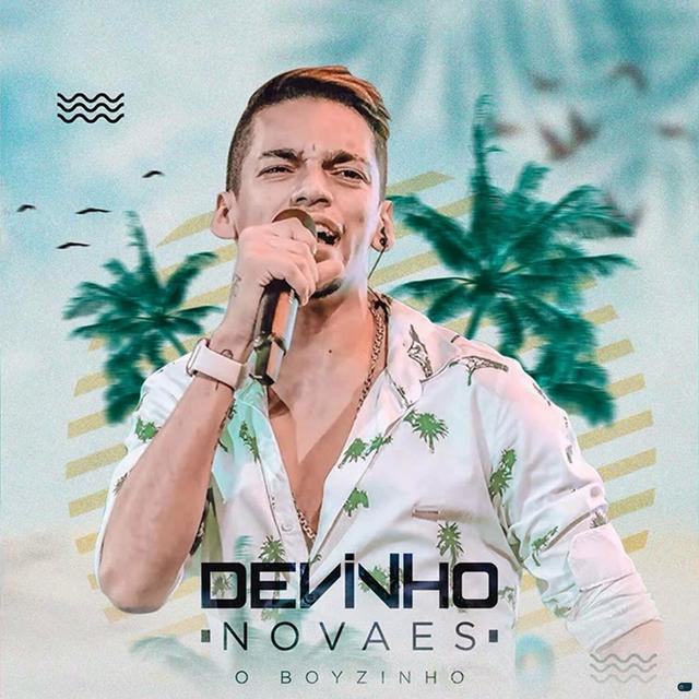 Album cover art for Verão do Boyzinho