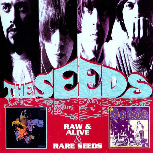 Album cover art for Raw & Alive: The Seeds in Concert at Merlin's Music Box