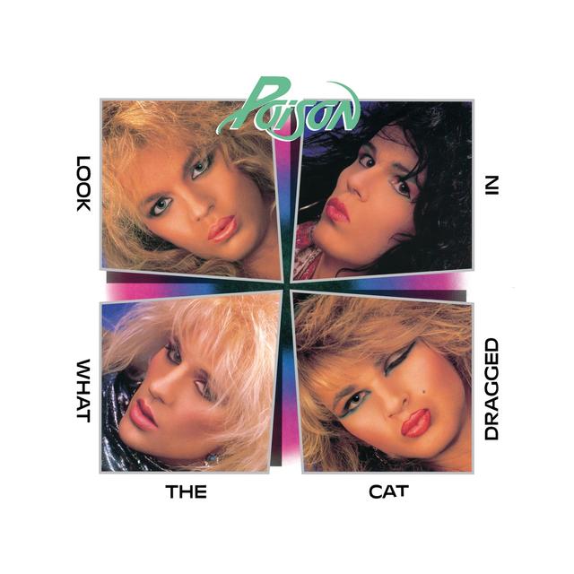 Album cover art for Look What the Cat Dragged In