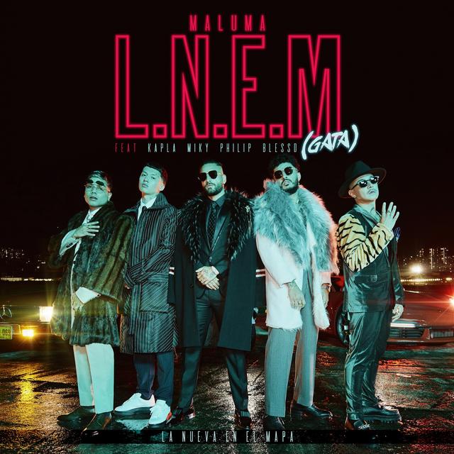 Album cover art for L.N.E.M. (GATA)