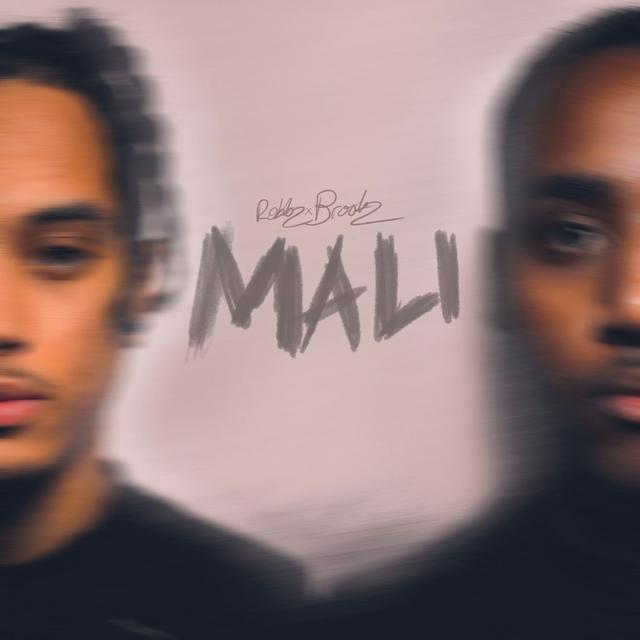 Album cover art for MALI